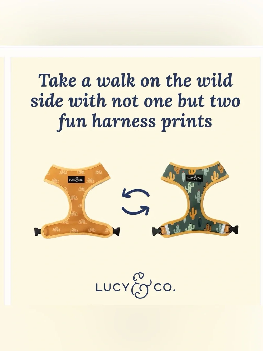 Lucy & Co Looking Sharp Reversible Harness